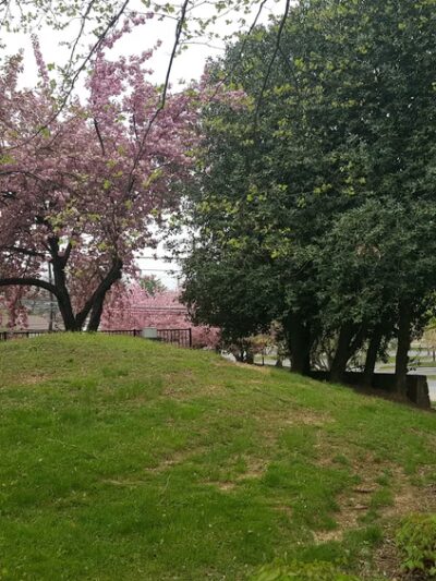 Germantown Square Urban Park - Germantown, MD