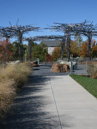 Germantown Town Center Urban Park - Germantown, MD