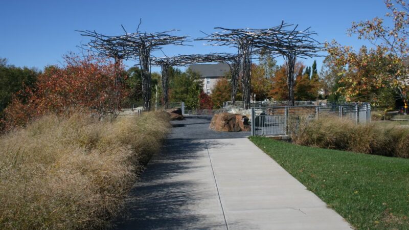 Germantown Town Center Urban Park - Germantown, MD