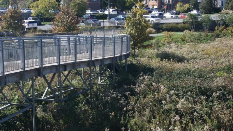 Germantown Town Center Urban Park - Germantown, MD
