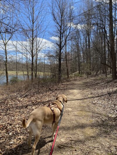 Great Seneca Park 355 - Germantown, MD