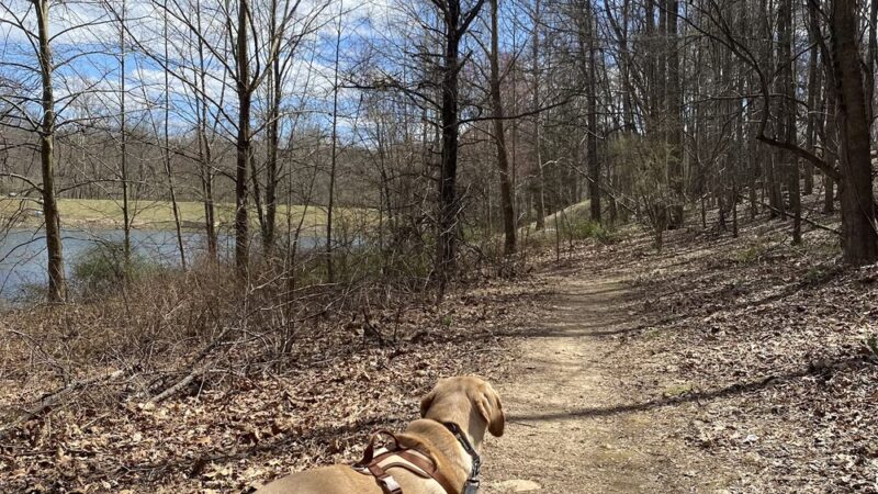 Great Seneca Park 355 - Germantown, MD