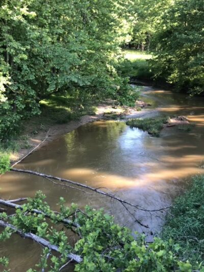 Great Seneca Stream Valley Park - Germantown, MD