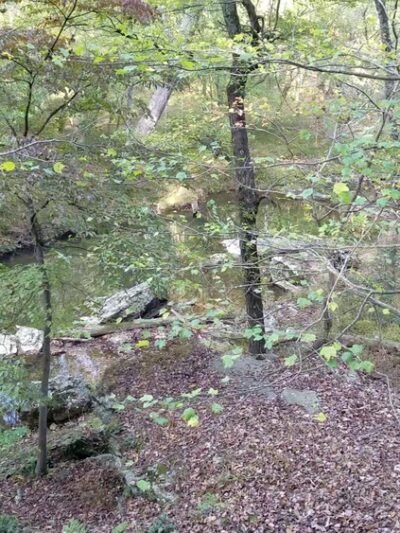 Great Seneca Stream Valley Park - Germantown, MD