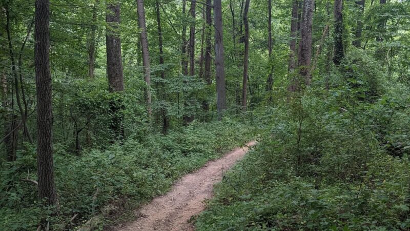 Great Seneca Stream Valley Park - Germantown, MD