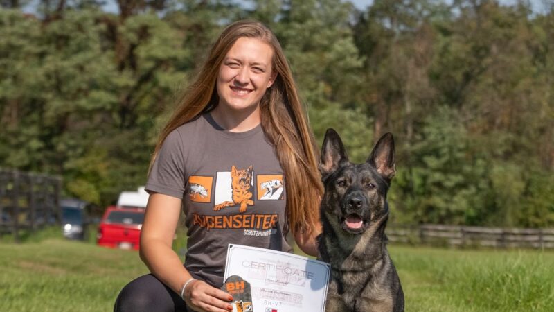 Hungry Dog Training, LLC - Germantown, MD