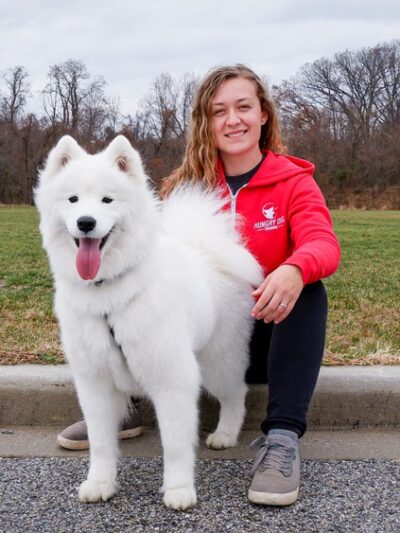 Hungry Dog Training, LLC - Germantown, MD