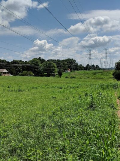 Pepco Trail - Germantown, MD