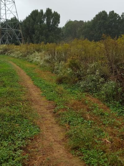 Pepco Trail - Germantown, MD
