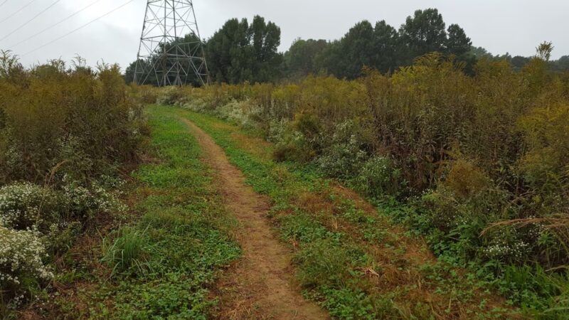 Pepco Trail - Germantown, MD