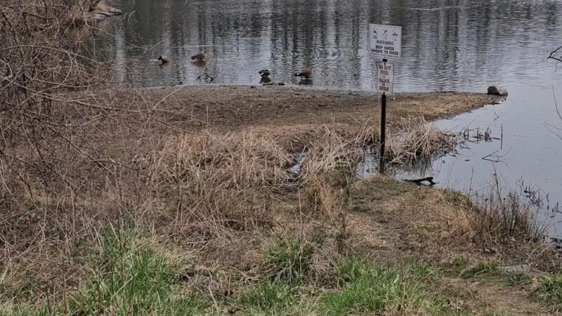Gunners Lake Trailhead - Germantown, MD