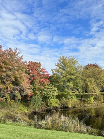 Gunners Lake Trailhead - Germantown, MD