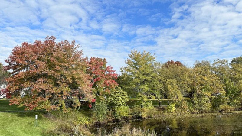 Gunners Lake Trailhead - Germantown, MD