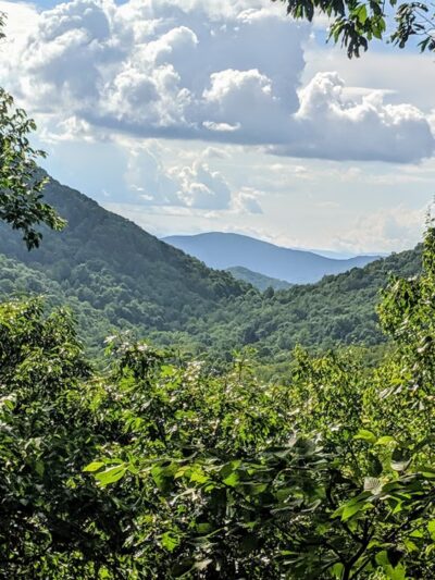 Florence Nature Preserve - Gerton, NC