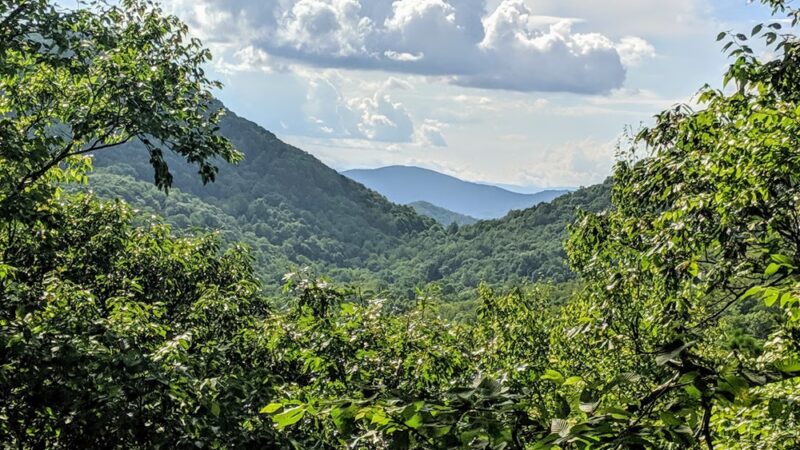 Florence Nature Preserve - Gerton, NC