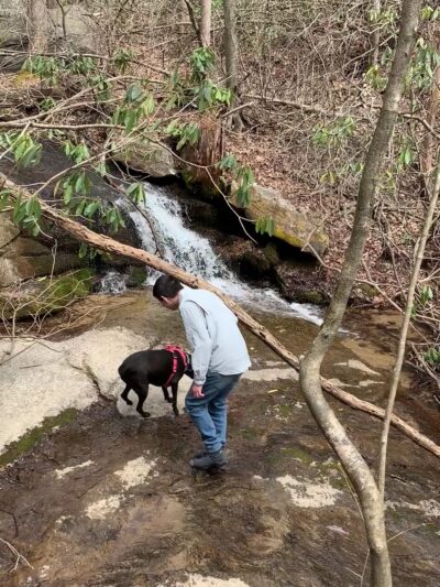 Florence Nature Preserve - Gerton, NC