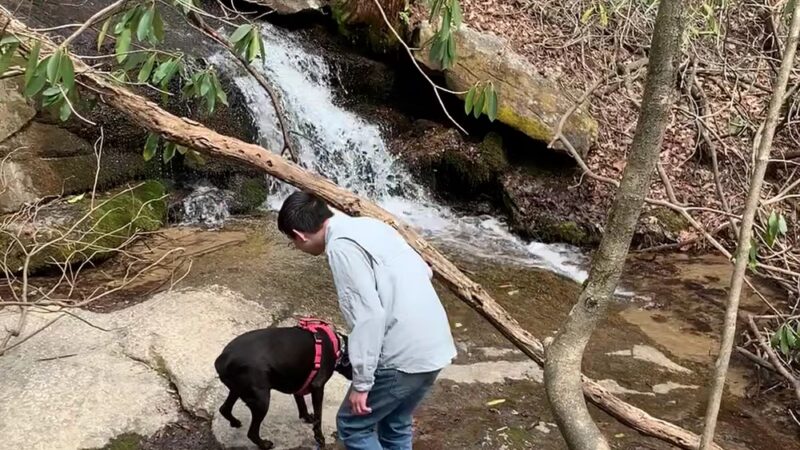 Florence Nature Preserve - Gerton, NC
