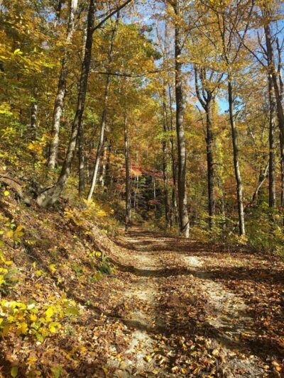Florence Nature Preserve - Gerton, NC