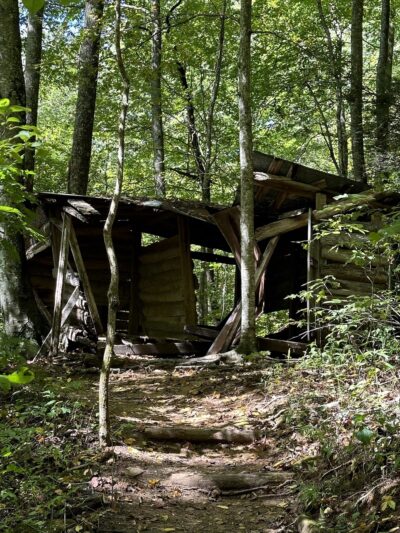 Florence Nature Preserve - Gerton, NC
