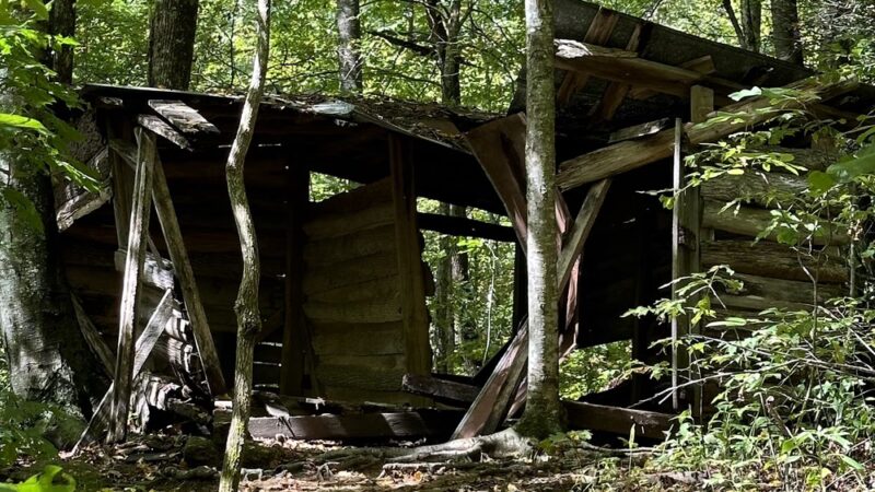 Florence Nature Preserve - Gerton, NC