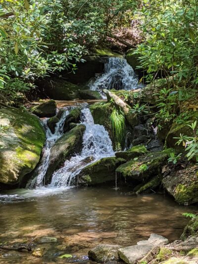 Florence Nature Preserve - Gerton, NC