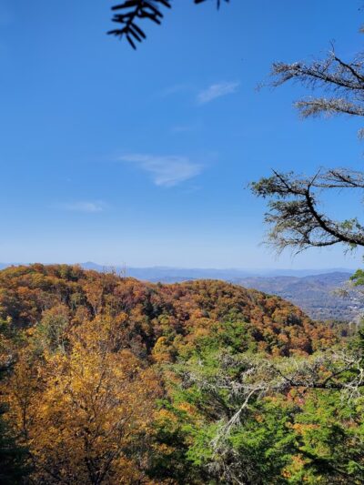 Strawberry Gap Trailhead Parking - Gerton, NC