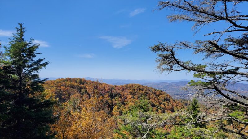 Strawberry Gap Trailhead Parking - Gerton, NC