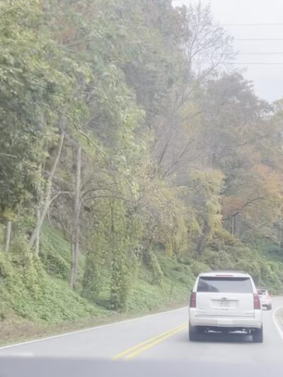 Strawberry Gap Trailhead Parking - Gerton, NC