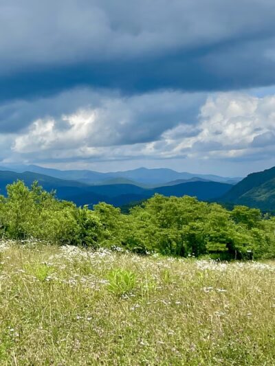 Strawberry Gap Trailhead Parking - Gerton, NC