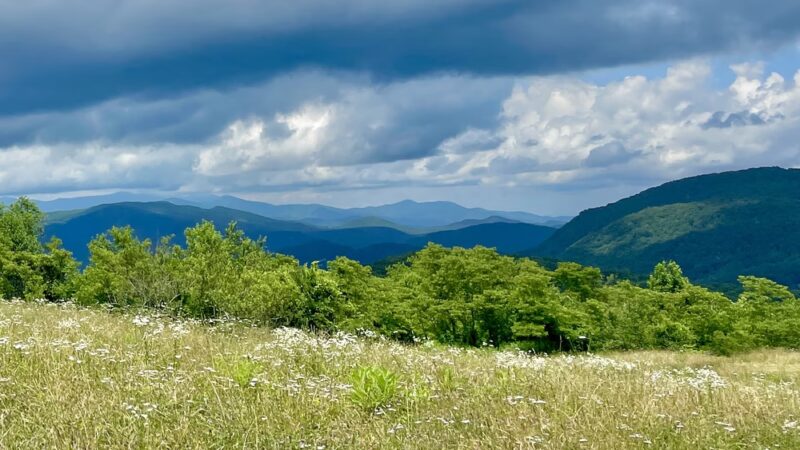 Strawberry Gap Trailhead Parking - Gerton, NC
