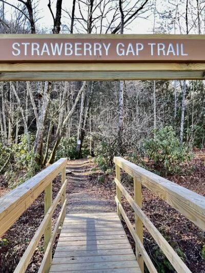 Strawberry Gap Trailhead Parking - Gerton, NC