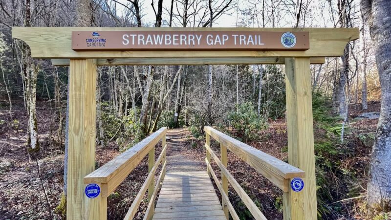 Strawberry Gap Trailhead Parking - Gerton, NC