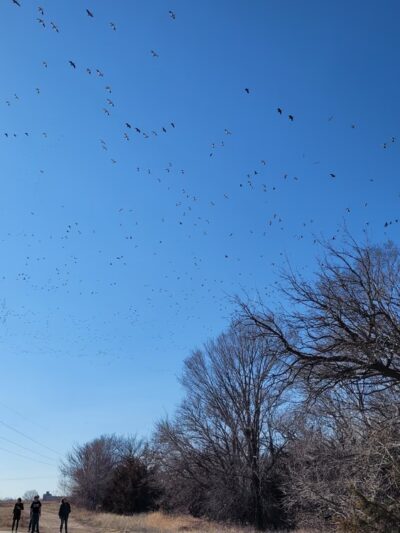 Fort Kearny Hike-Bike Trail - Gibbon, NE