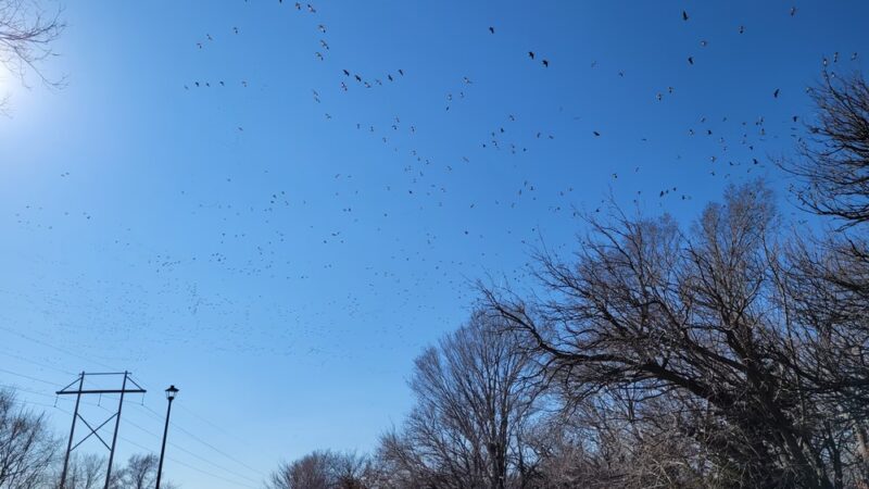 Fort Kearny Hike-Bike Trail - Gibbon, NE