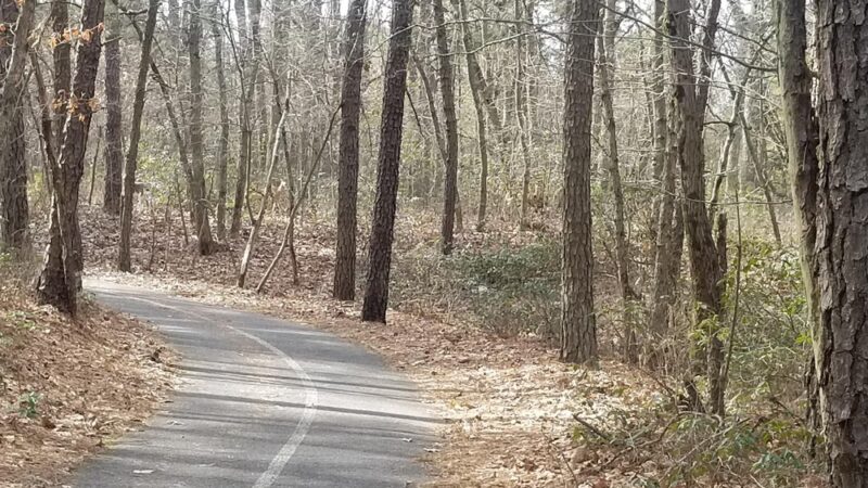 Blueberry Hill Trail - Gibbsboro, NJ