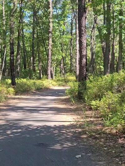 Blueberry Hill Trail - Gibbsboro, NJ