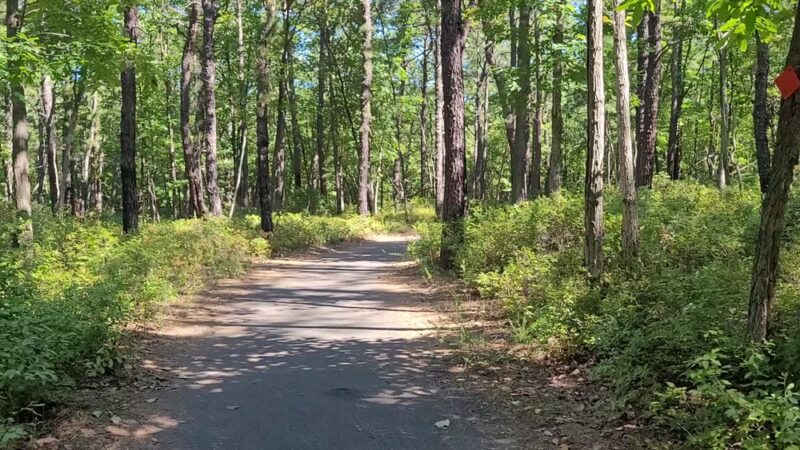 Blueberry Hill Trail - Gibbsboro, NJ