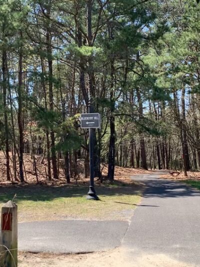 Blueberry Hill Trail - Gibbsboro, NJ