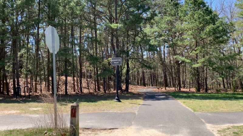 Blueberry Hill Trail - Gibbsboro, NJ
