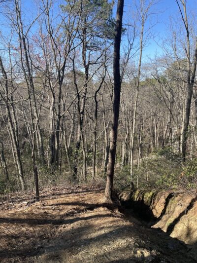 Blueberry Hill Trail - Gibbsboro, NJ