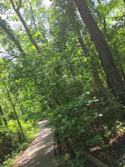 Quarry by Blueberry Hill Trail - Gibbsboro, NJ