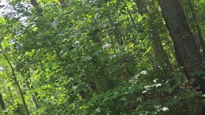 Quarry by Blueberry Hill Trail - Gibbsboro, NJ