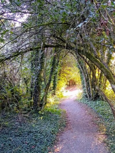 Wilkinson Farm Park - Gig Harbor, WA