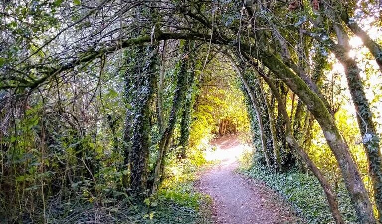 Wilkinson Farm Park - Gig Harbor, WA