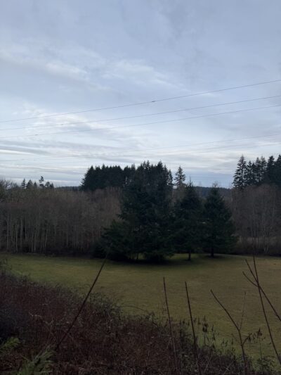 Wilkinson Farm Park - Gig Harbor, WA