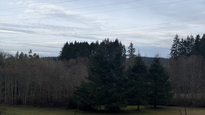 Wilkinson Farm Park - Gig Harbor, WA