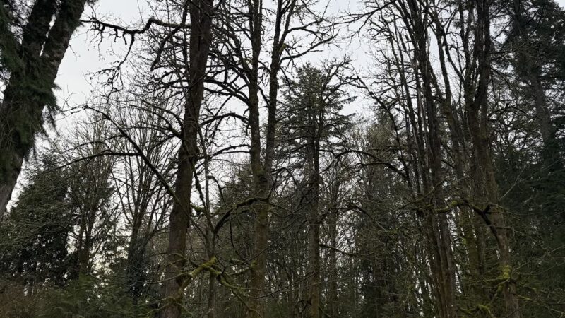 Wilkinson Farm Park - Gig Harbor, WA