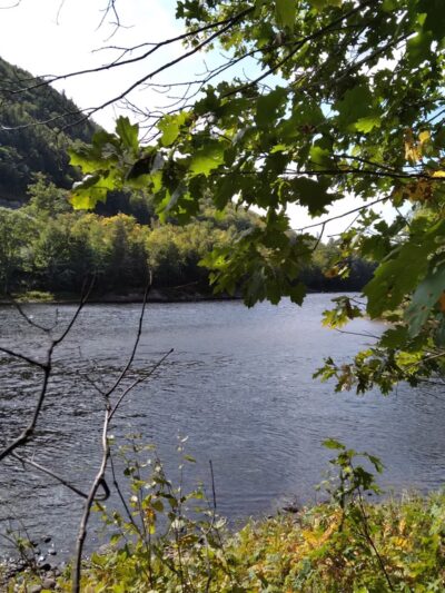 Esker Loop Trail - Gilead, ME