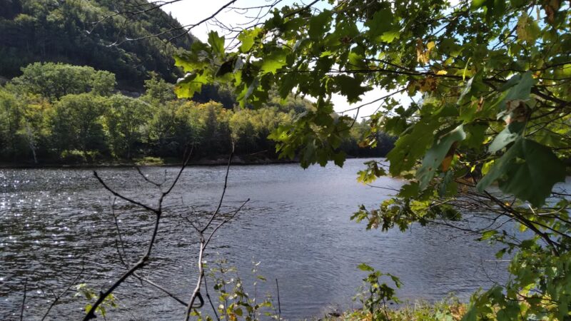 Esker Loop Trail - Gilead, ME