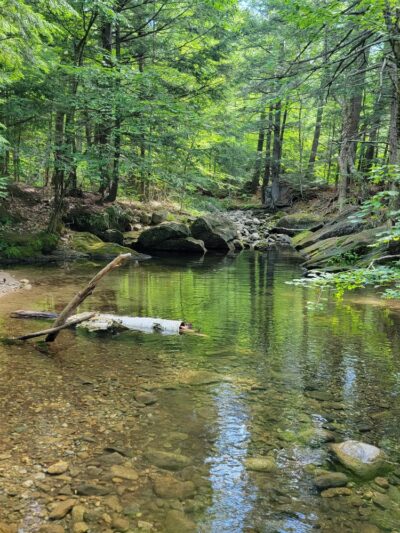 Esker Loop Trail - Gilead, ME